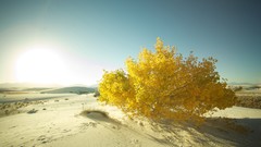 Landscapes nature sand deserts