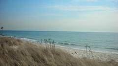 Landscapes nature sand grass