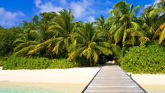 Landscapes nature sand tropical