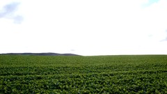 Landscapes nature Scotland fields