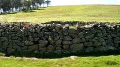 Landscapes nature Scotland ruins Bricks rocks fields HDR 