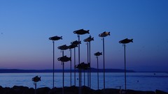 Landscapes nature sculptures