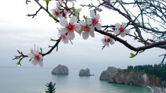 Landscapes nature seasons spring