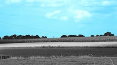 Landscapes nature selective coloring