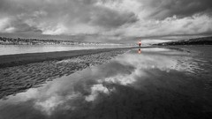 Landscapes nature selective coloring