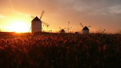 Landscapes nature serenity silence Mills Orange Sun