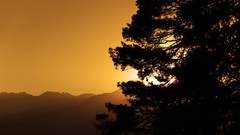 Landscapes nature silhouettes