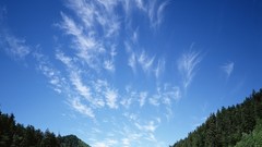 Landscapes nature skies