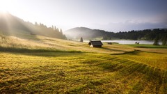 Landscapes nature skies