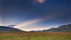 Landscapes nature skies