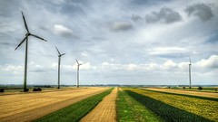 Landscapes nature skies