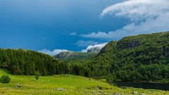 Landscapes nature skies