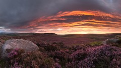 Landscapes nature skies