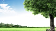 Landscapes nature sky meadows bench