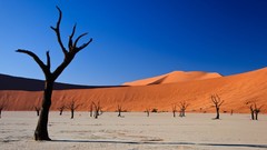 Landscapes nature skylines deserts