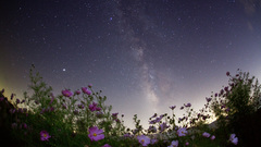 Landscapes nature skyscapes