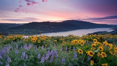 Landscapes nature skyscapes