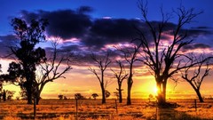 Landscapes nature skyscapes