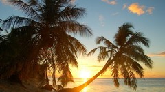 Landscapes nature skyscapes