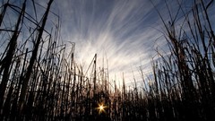 Landscapes nature skyscapes