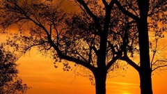 Landscapes nature skyscapes