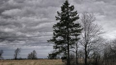 Landscapes nature skyscapes