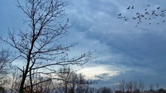 Landscapes nature skyscapes