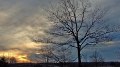 Landscapes nature skyscapes