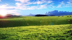 Landscapes nature skyscapes