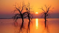 Landscapes nature skyscapes