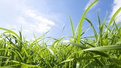 Landscapes nature skyscapes