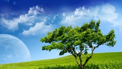 Landscapes nature skyscapes