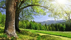 Landscapes nature skyscapes