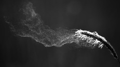 Landscapes nature smoke