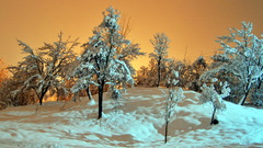 Landscapes nature snow