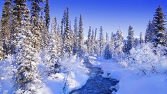 Landscapes nature snow