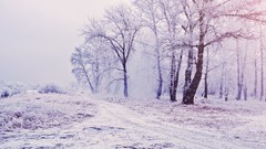 Landscapes nature snow