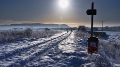 Landscapes nature snow