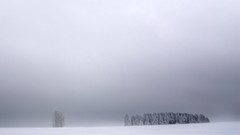 Landscapes nature snow