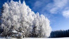 Landscapes nature snow