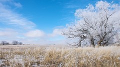 Landscapes nature snow fields national geographic
