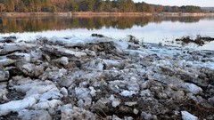 Landscapes nature snow forests