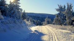 Landscapes nature snow forests snowy road