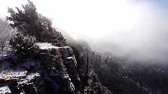 Landscapes nature snow forests snowy trees