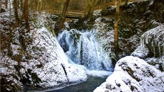 Landscapes nature snow germany Wood falls