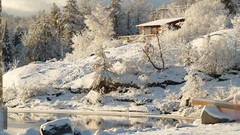 Landscapes nature snow houses forests