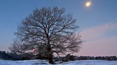 Landscapes nature snow landscapes