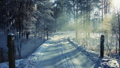 Landscapes nature snow landscapes