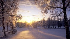 Landscapes nature snow landscapes