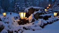 Landscapes nature snow light forests